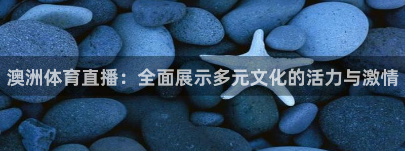 免费雨燕体育直播在线看：澳洲体育直播：全面展示多元文化的活力与激情
