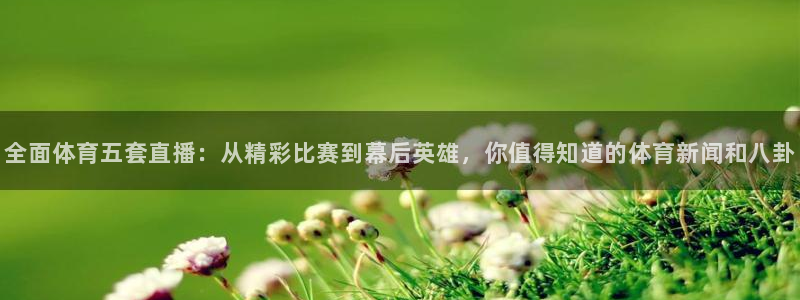 360足球网雨燕直播：全面体育五套直播：从精彩比赛到幕后英雄，你值得知道的体育新闻和八卦
