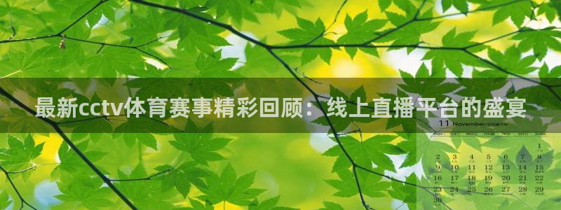 雨燕体育直播高清nba 免费：最新cctv体育赛事精彩回顾：线上直播平台的盛宴